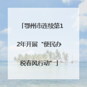 鄂州市连续第12年开展“便民办税春风行动”