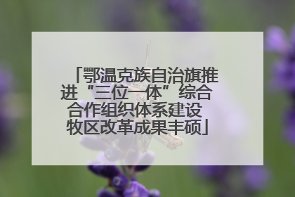 鄂温克族自治旗推进“三位一体”综合合作组织体系建设 牧区改革成果丰硕