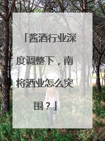 酱酒行业深度调整下，南将酒业怎么突围？