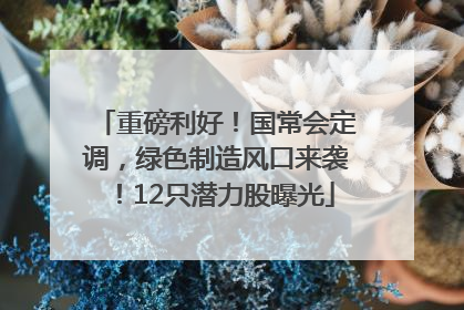 重磅利好！国常会定调，绿色制造风口来袭！12只潜力股曝光