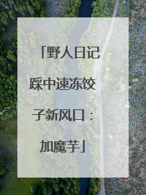 野人日记踩中速冻饺子新风口：加魔芋