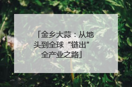 金乡大蒜：从地头到全球“链出”全产业之路