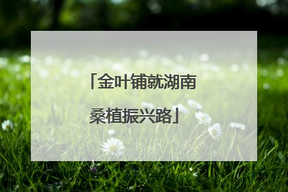 金叶铺就湖南桑植振兴路