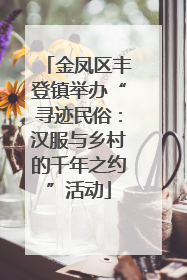 金凤区丰登镇举办“寻迹民俗：汉服与乡村的千年之约”活动