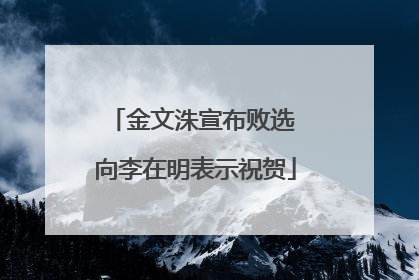 金文洙宣布败选 向李在明表示祝贺