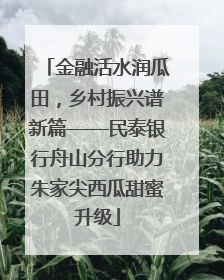 金融活水润瓜田，乡村振兴谱新篇——民泰银行舟山分行助力朱家尖西瓜甜蜜升级