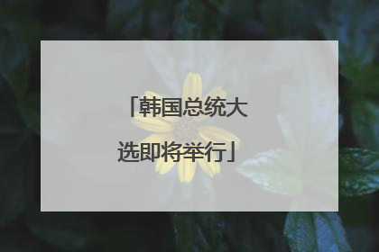韩国总统大选即将举行