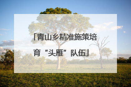 青山乡精准施策培育“头雁”队伍