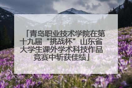 青岛职业技术学院在第十九届“挑战杯”山东省大学生课外学术科技作品竞赛中斩获佳绩