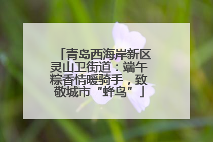 青岛西海岸新区灵山卫街道：端午粽香情暖骑手，致敬城市“蜂鸟”