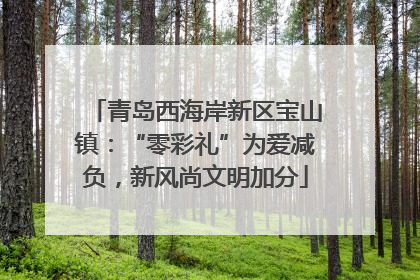 青岛西海岸新区宝山镇：“零彩礼”为爱减负，新风尚文明加分