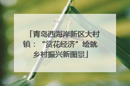 青岛西海岸新区大村镇：“赏花经济”绘就乡村振兴新图景