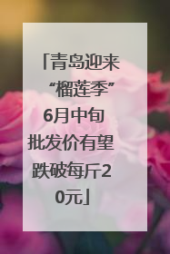 青岛迎来“榴莲季” 6月中旬批发价有望跌破每斤20元