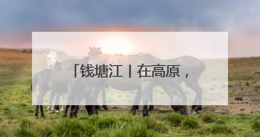 钱塘江丨在高原，我也想送一面锦旗
