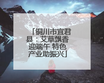 铜川市宜君县：艾草飘香迎端午 特色产业助振兴