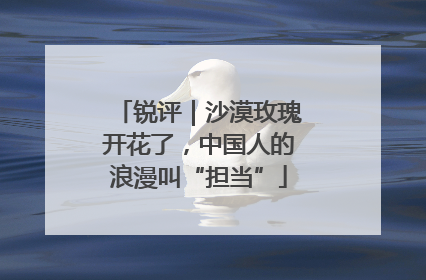 锐评｜沙漠玫瑰开花了，中国人的浪漫叫“担当”