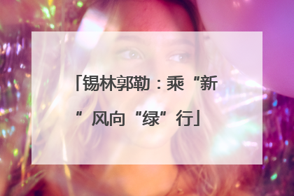 锡林郭勒：乘“新”风向“绿”行