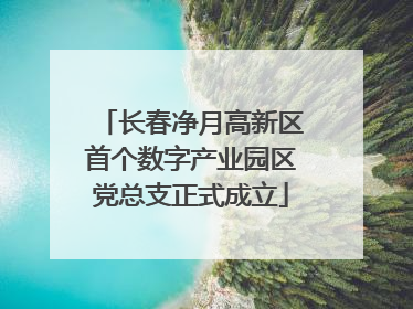 长春净月高新区首个数字产业园区党总支正式成立