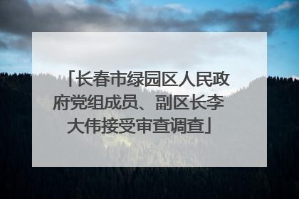 长春市绿园区人民政府党组成员、副区长李大伟接受审查调查
