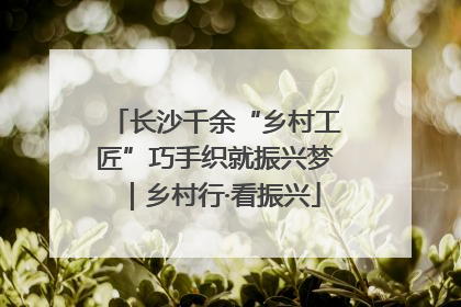 长沙千余“乡村工匠”巧手织就振兴梦｜乡村行·看振兴