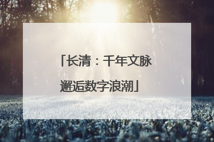 长清：千年文脉邂逅数字浪潮
