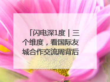 闪电深1度｜三个维度，看国际友城合作交流周背后的山东开放