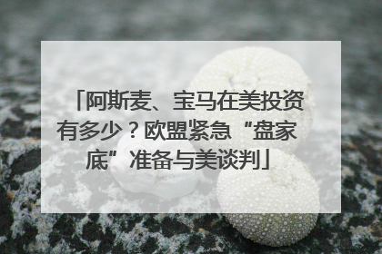 阿斯麦、宝马在美投资有多少？欧盟紧急“盘家底”准备与美谈判