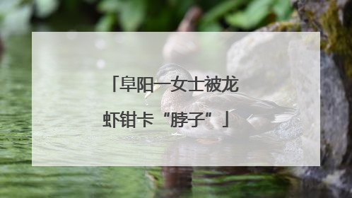 阜阳一女士被龙虾钳卡“脖子”