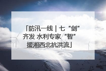 防汛一线｜七“剑”齐发 水利专家“智”援湘西北抗洪流