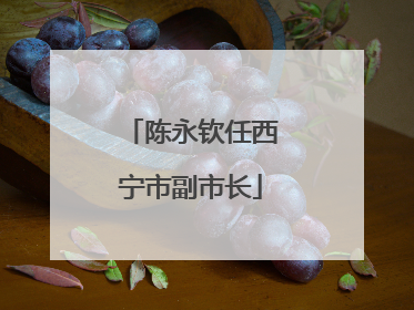 陈永钦任西宁市副市长