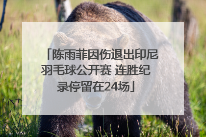 陈雨菲因伤退出印尼羽毛球公开赛 连胜纪录停留在24场