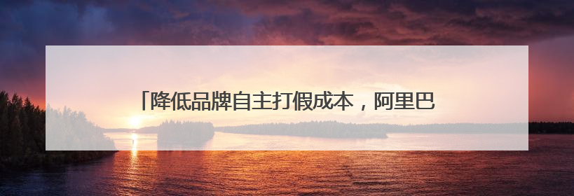 降低品牌自主打假成本，阿里巴巴打假联盟成立品牌抽检分盟