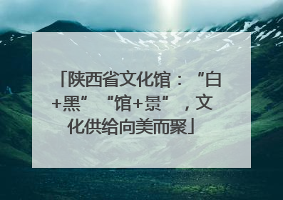 陕西省文化馆：“白+黑”“馆+景”，文化供给向美而聚