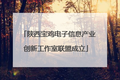 陕西宝鸡电子信息产业创新工作室联盟成立