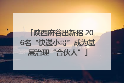 陕西府谷出新招 206名“快递小哥”成为基层治理“合伙人”