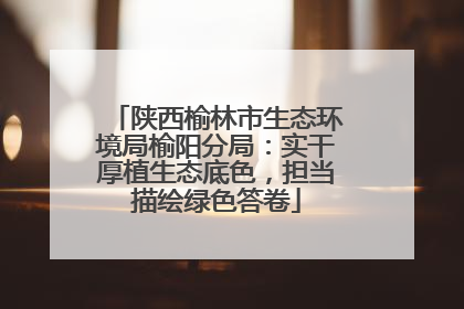 陕西榆林市生态环境局榆阳分局：实干厚植生态底色，担当描绘绿色答卷