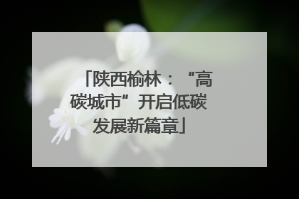 陕西榆林：“高碳城市”开启低碳发展新篇章