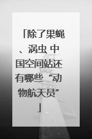 除了果蝇、涡虫 中国空间站还有哪些“动物航天员”