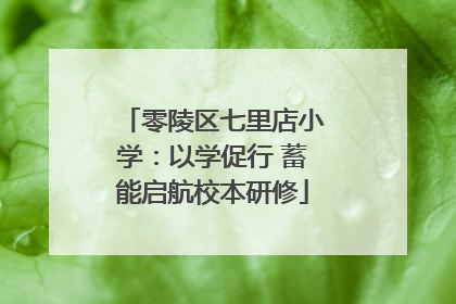零陵区七里店小学：以学促行 蓄能启航校本研修