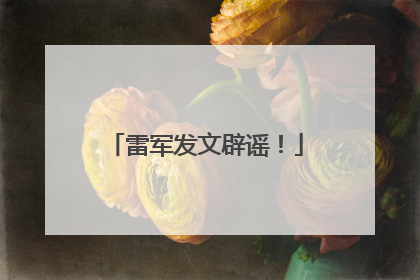 雷军发文辟谣！