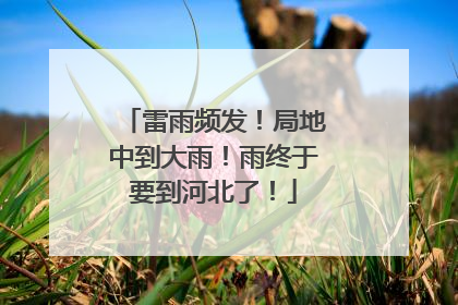 雷雨频发！局地中到大雨！雨终于要到河北了！