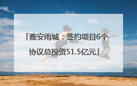 雅安雨城：签约项目6个 协议总投资51.5亿元