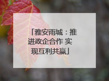 雅安雨城：推进政企合作 实现互利共赢