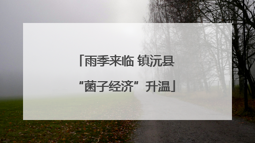 雨季来临 镇沅县“菌子经济”升温