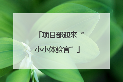 项目部迎来“小小体验官”