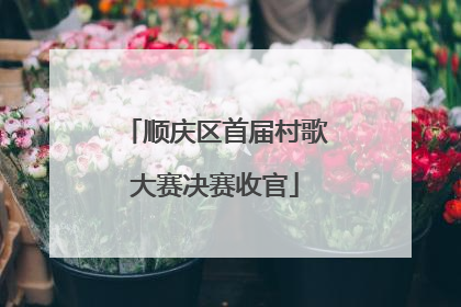 顺庆区首届村歌大赛决赛收官