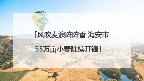 风吹麦浪阵阵香 海安市55万亩小麦陆续开镰