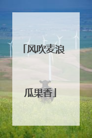 风吹麦浪 瓜果香