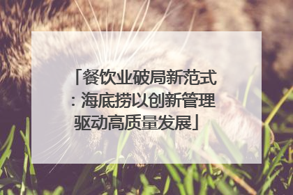 餐饮业破局新范式：海底捞以创新管理驱动高质量发展