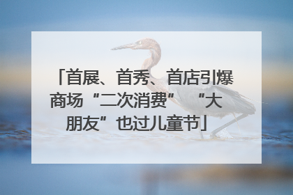 首展、首秀、首店引爆商场“二次消费” “大朋友”也过儿童节